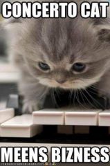 funny-pictures-concerto-cat.jpg