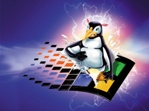 linuxpenguinFighter