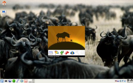RMS GNU/Linux-libre - Copie d'écran