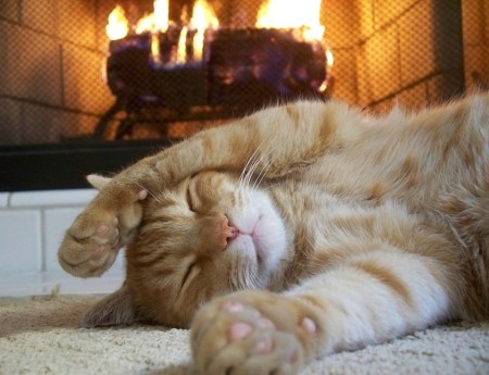 cat-sleeping-fireplace