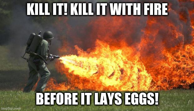 Un homme avec un lance-flamme. Texte « Kill it! Kill it with fire before it lays eggs! »