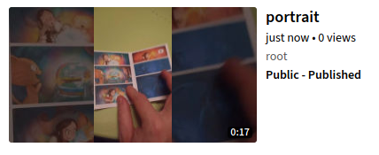 Capture de l'onglet d'une miniature de video verticale sur PerrTube