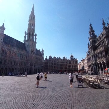 Brussels,june 2023 : Diary of the second ECHO Network study visit