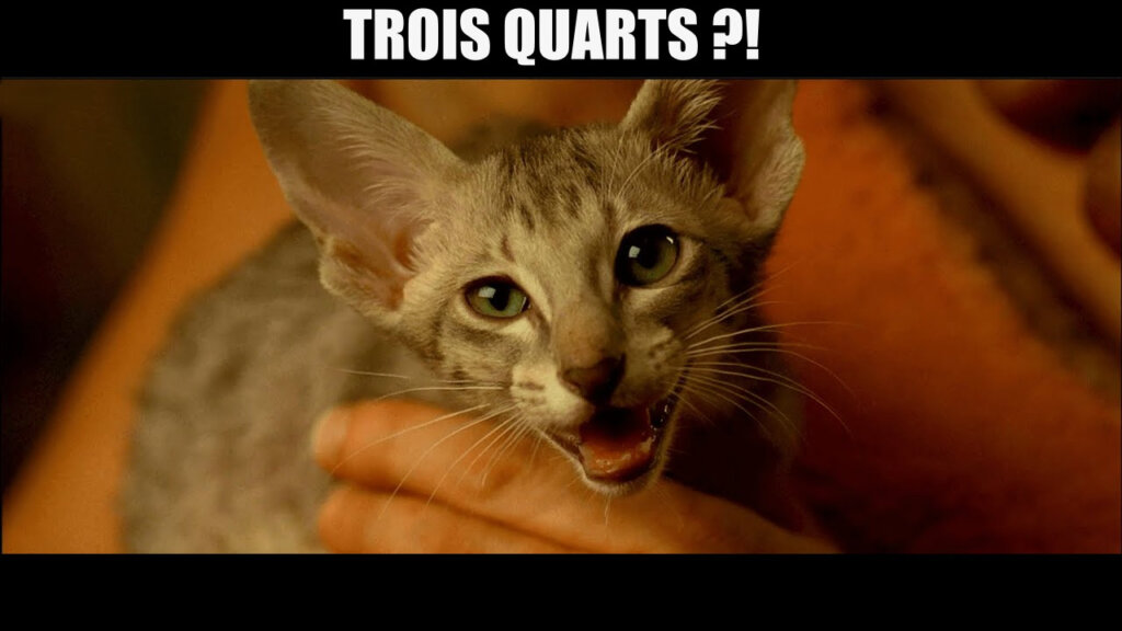 Image de type meme. Elle représente le chat du film Astérix et Obélix : Mission Cléopâtre disant « Trois quarts ?! ».