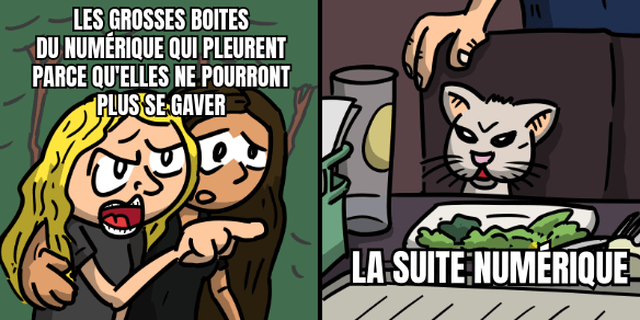 Mème : deux images côte à côte. Sur la première, une femme taguée « Les grosses boites du numérique qui pleurent parce qu'elles ne pourront plus se gaver » crie sur quelqu'un hors-champ, retenue par une autre femme ; sur la seconde, un chat tagué « La Suite Numérique » fait des yeux méchants.