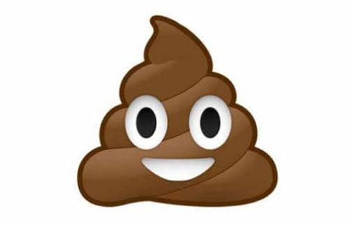 emoji "caca"
